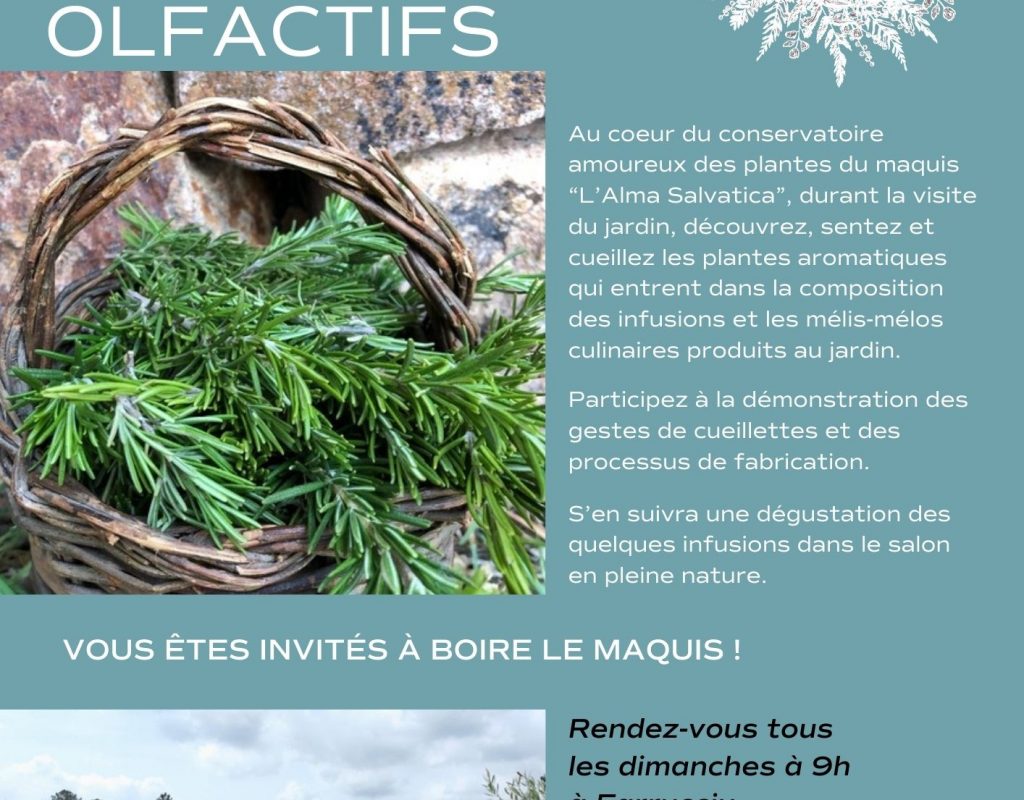 affiche de la visite des apéros olfactifs